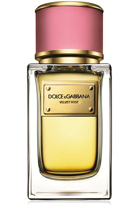 dolce gabbana perfume velvet rose|authentic Dolce & Gabbana perfume.